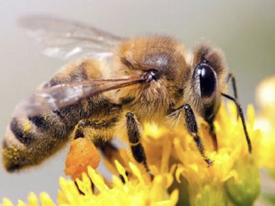 Haglund_Group tweet media