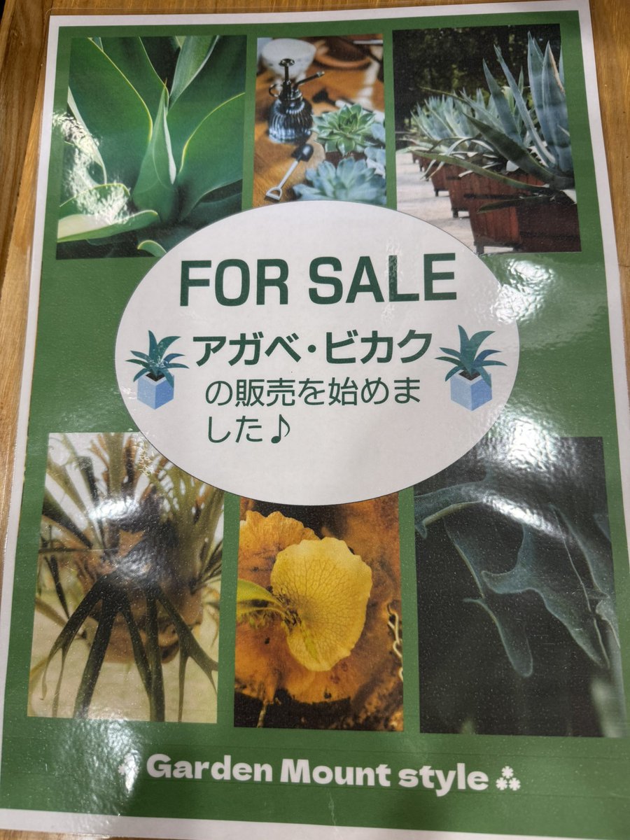 カフェ_マウント tweet media