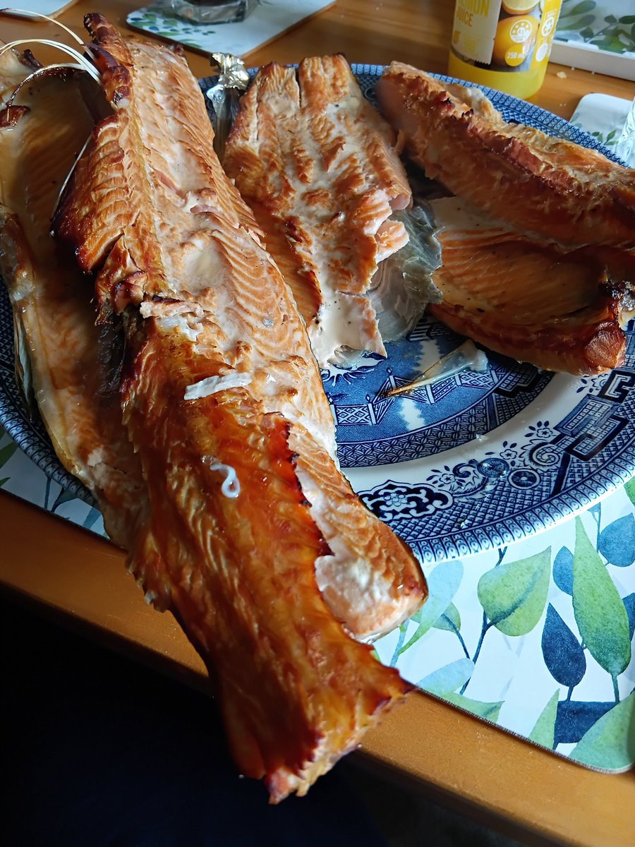 KiwiBiohacker's tweet image. Hubby went fishing with his mates. He came back with a luscious brown trout, and smoked it for me. 

I got through about half of what you see here - the rest is tomorrow&apos;s #dinner. 

It was delisssssshhhh! 
#fishing #nzfood
