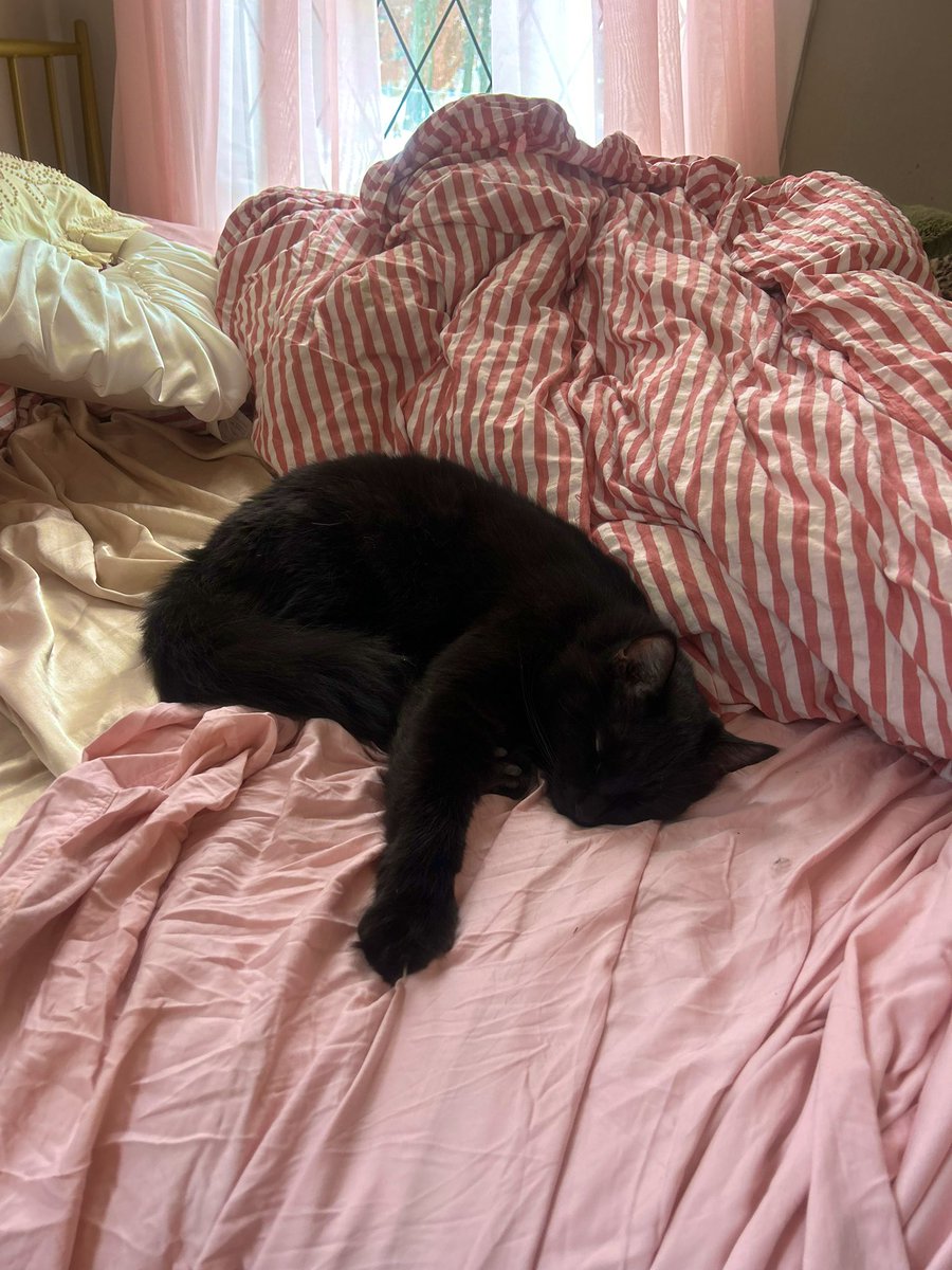 fern last night vs this morning&lt;3