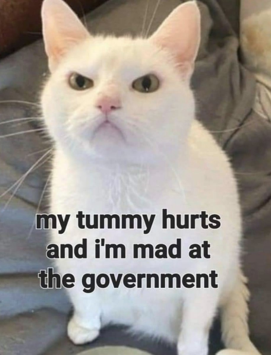 raccoon aesthetic. (@raccoonesthetic) on Twitter photo 