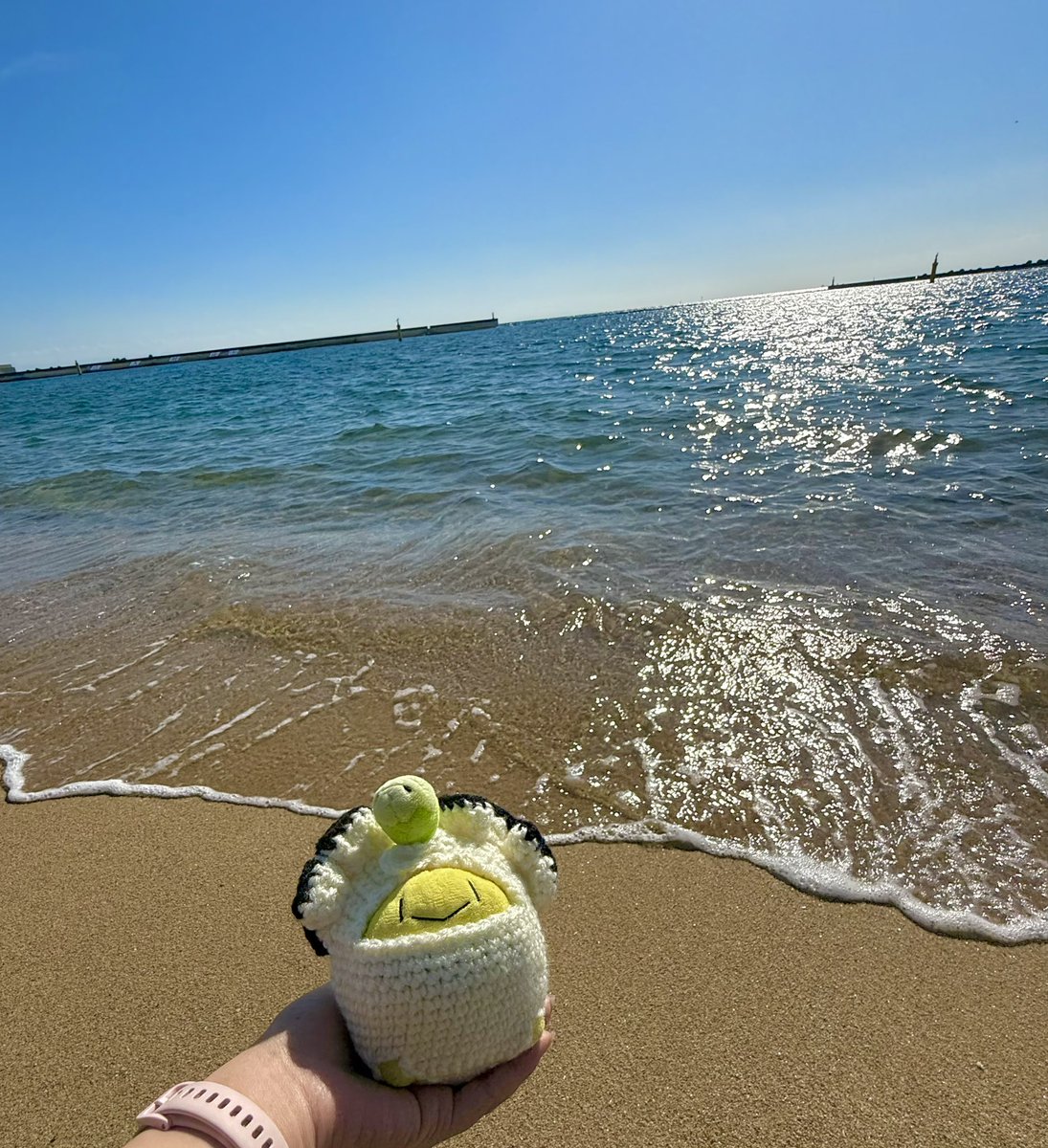 うみ　だから
かき　の　およふく　きたよ