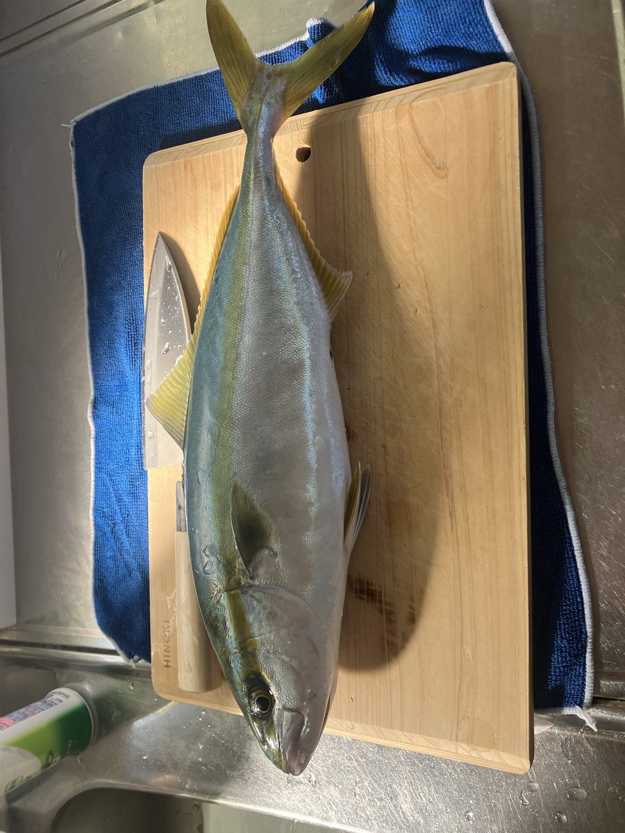 本日のオフショアの釣果！

魚探にはいい反応あるけど......
なかなか口を使ってくれず
上潮の潮止まりくらいでやっと１匹！T^T

そのあとはアカエイ！笑

船にスマホを載せる忘れて....
帰ってからの撮影！笑

漁港出たあとに.....なんか忘れてるなぁ〜あっ！スマホや！笑って感じで時既に遅し！笑