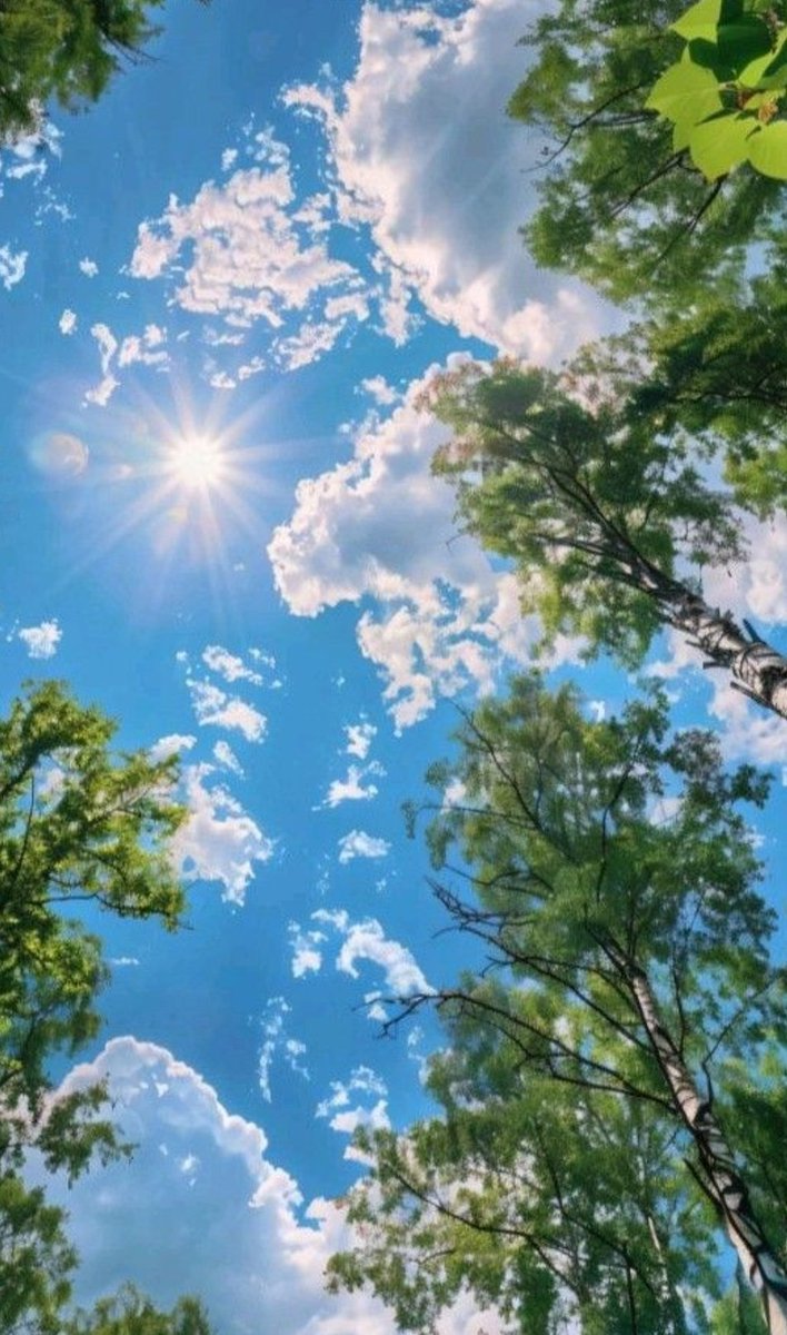 alilil_9's tweet image. اللي معلق أمانيه في رجا ربّه 
يجيه يومٍ وتضحك له أمانيه "
#صباح_الخيرᅠ