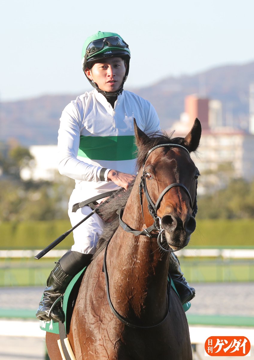 日刊ゲンダイDIGITAL (@nikkan_gendai) / Posts / X