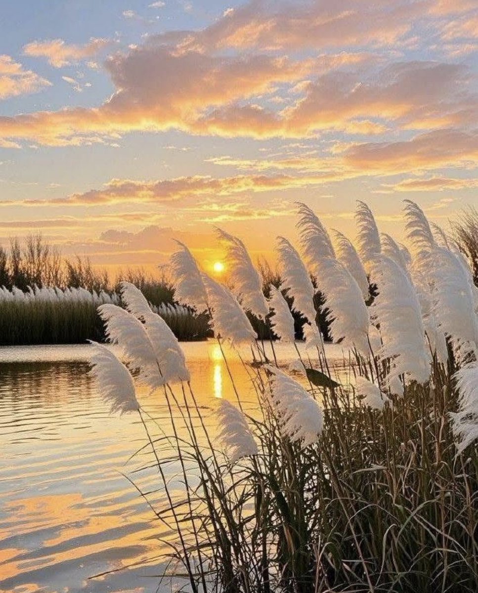 Agréable journée à tous 🩶
"Le seul antidote aux regrets d'hier est de vivre pleinement aujourd'hui".  🌺
