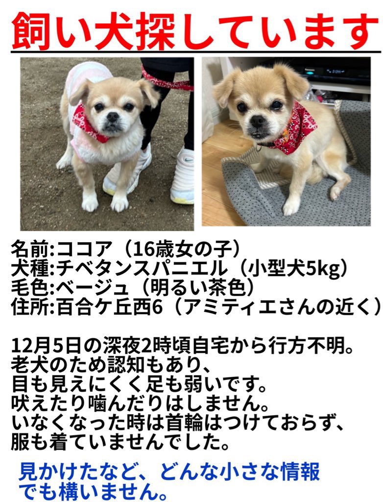 primrose🇯🇵🌊🗻💙🎌 (@primrose1107) / Posts / X