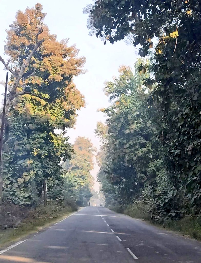 travelernamrata's tweet image. December Is always Magical 🌸
#OffBeatIndia 
#unseenindia 
#Backpacking 
#yatra2025