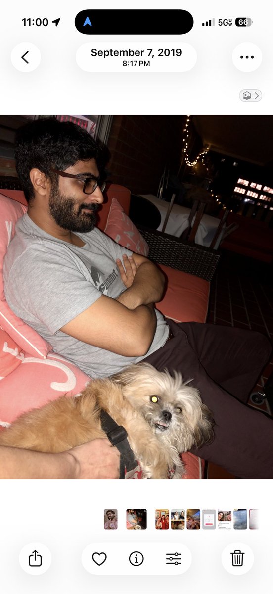 Katie Halper tweet media