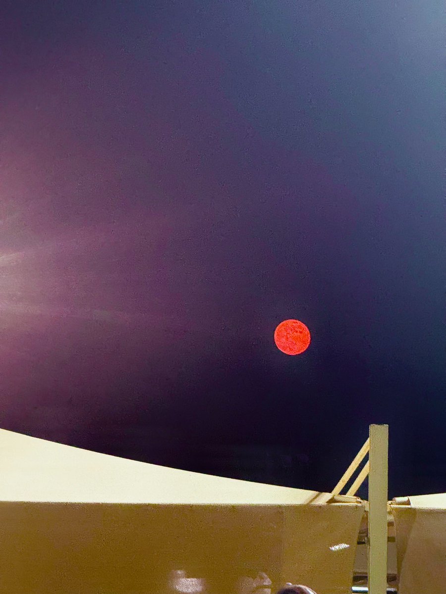 maysamuse's tweet image. The magical moon wandered across a sky full of wishes.. #yesterday