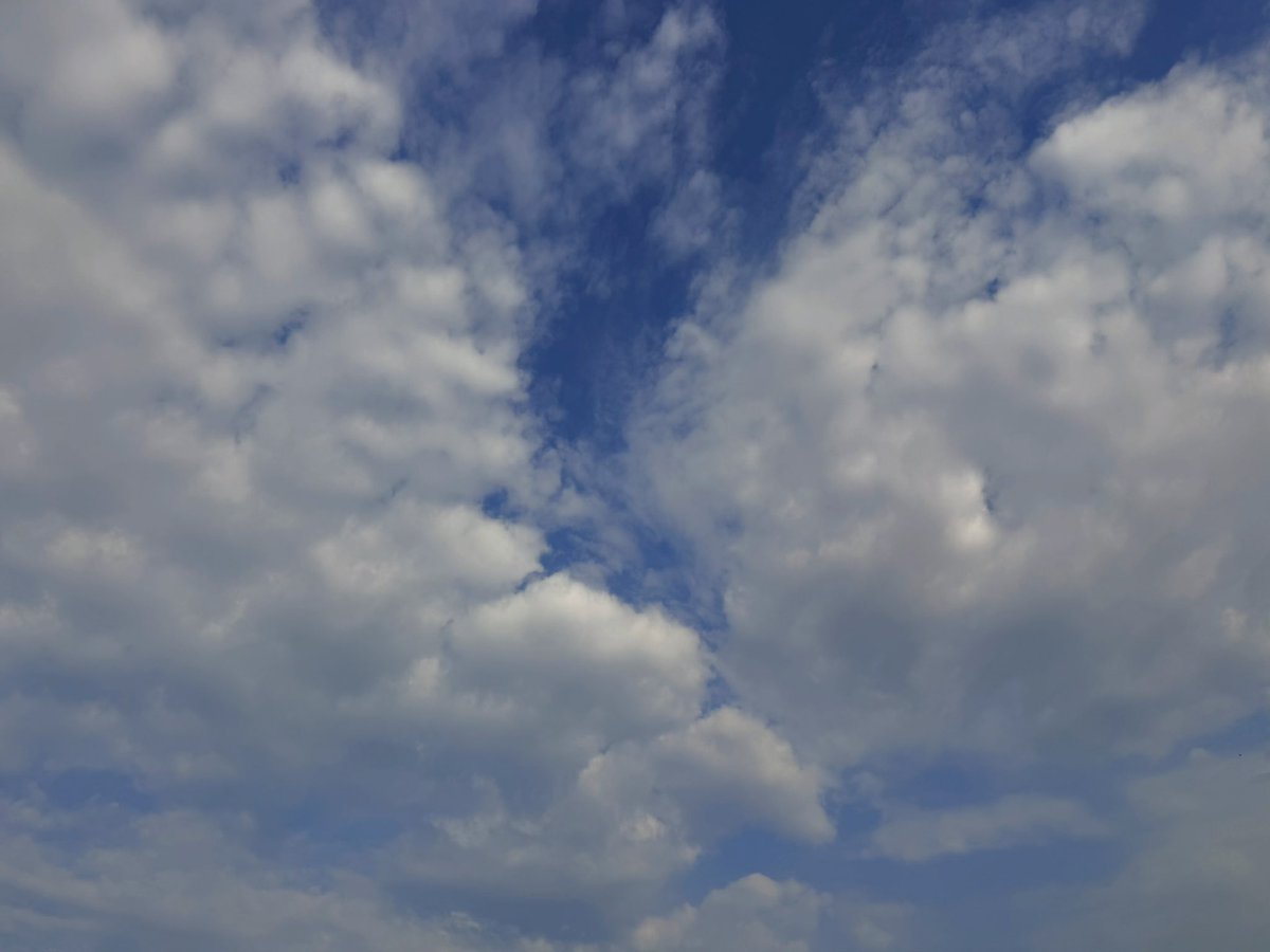 maysamuse's tweet image. The magical moon wandered across a sky full of wishes.. #yesterday