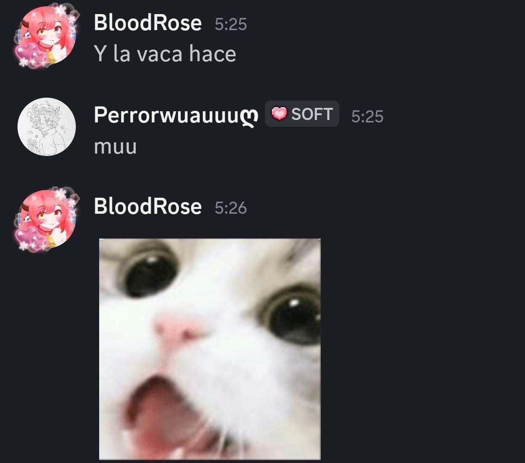 LA VACA MUU, la vaca muu, la misma vaca 🐮 

Buenas noches niños bonitos ❤️🎀