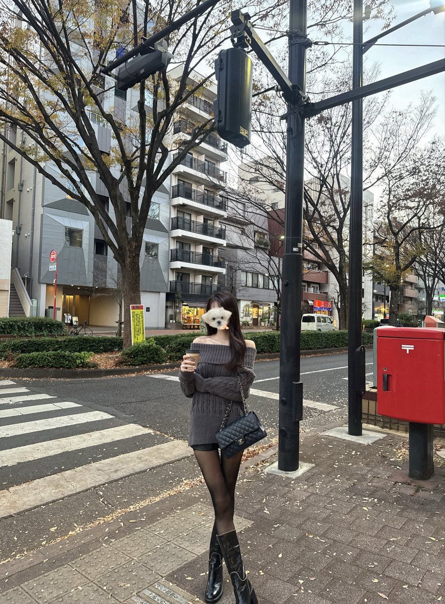 nekonookome's tweet photo. チュチュアンナのフェイクタイツ暖かくて可愛くて最強すぎる https://t.co/2V6kAjqIUo