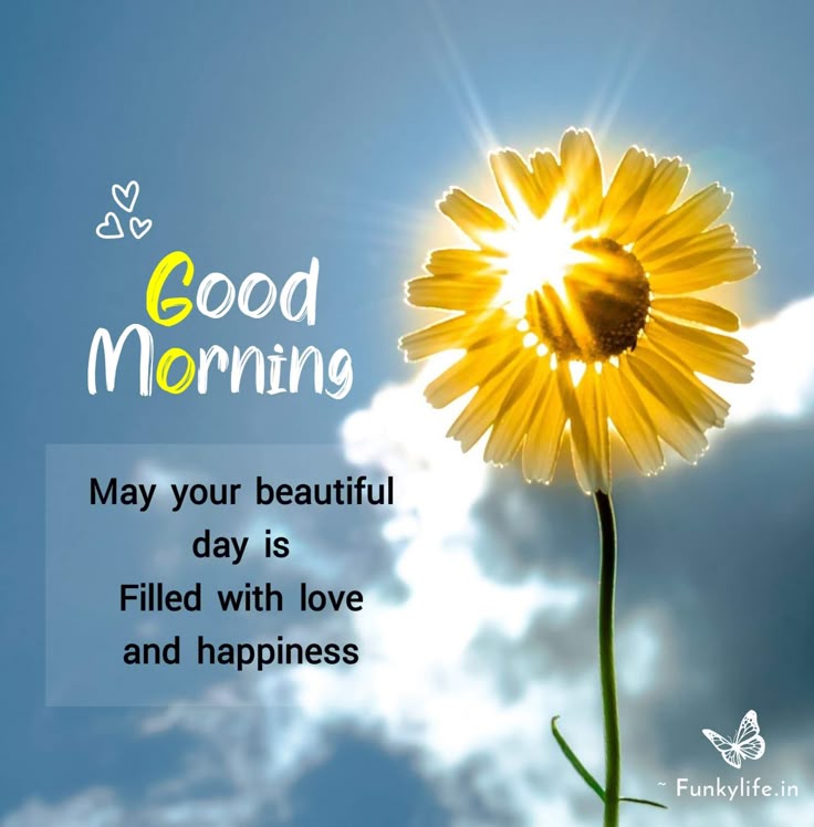 𝕾𝖆𝖜 tweet media