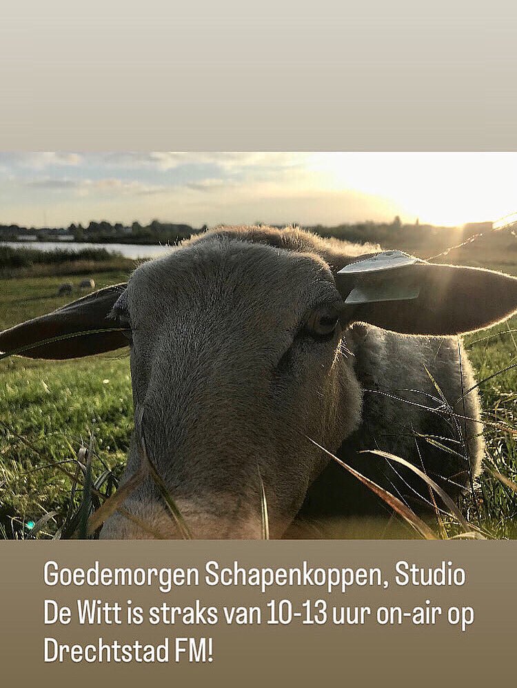 Studio De Witt (@studio_witt) on Twitter photo 