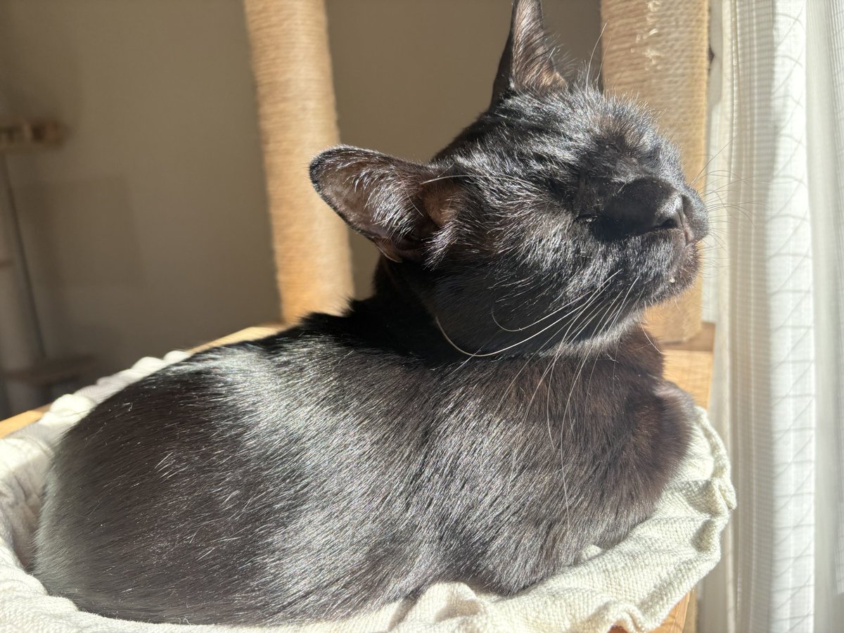 今日はとてもいいお天気☀️