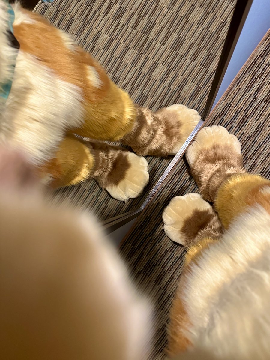 i had three (3) margaritas and then i looked in the mirror 😵‍💫😵‍💫🍹

suiting now, say hi 🧡🧡