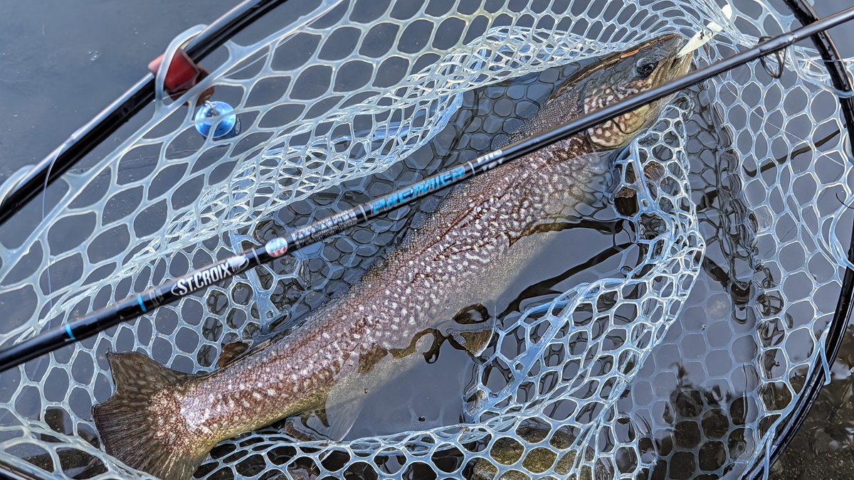 St. Croix Rods Japan (@StCroix_Japan) / Posts / X