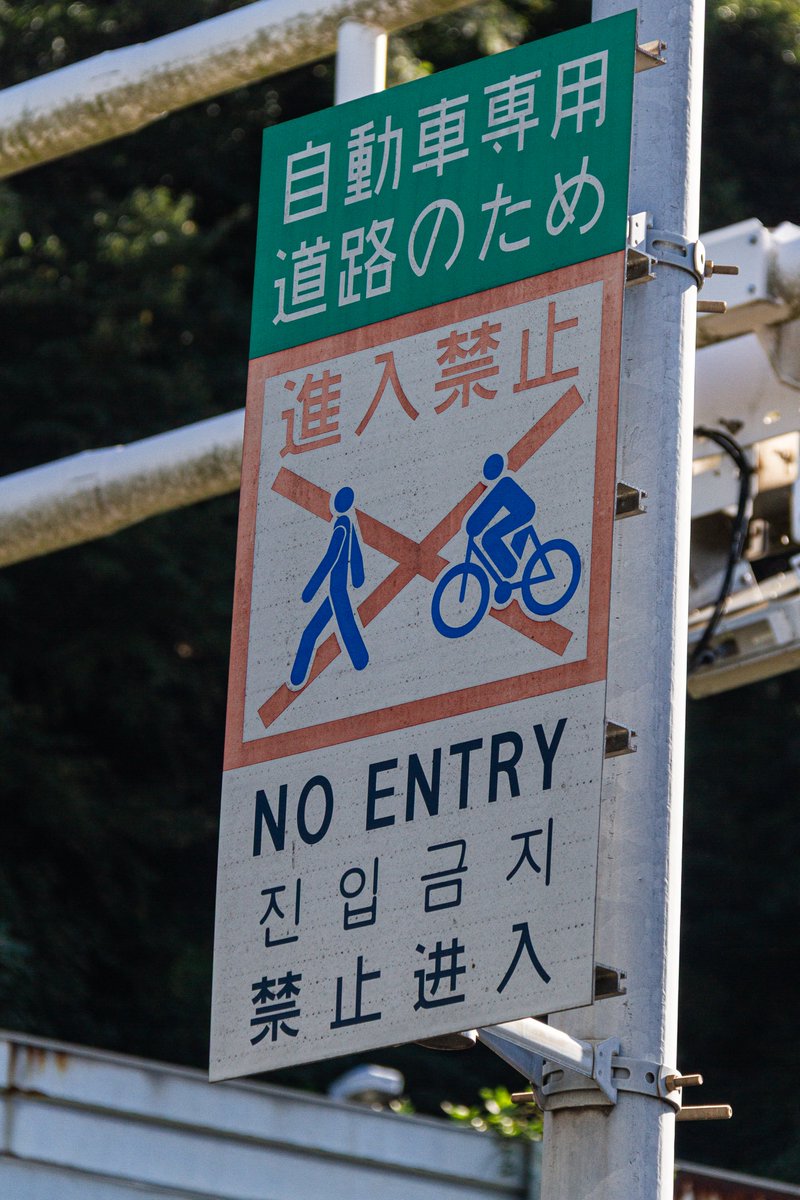 島田 六合 tweet media