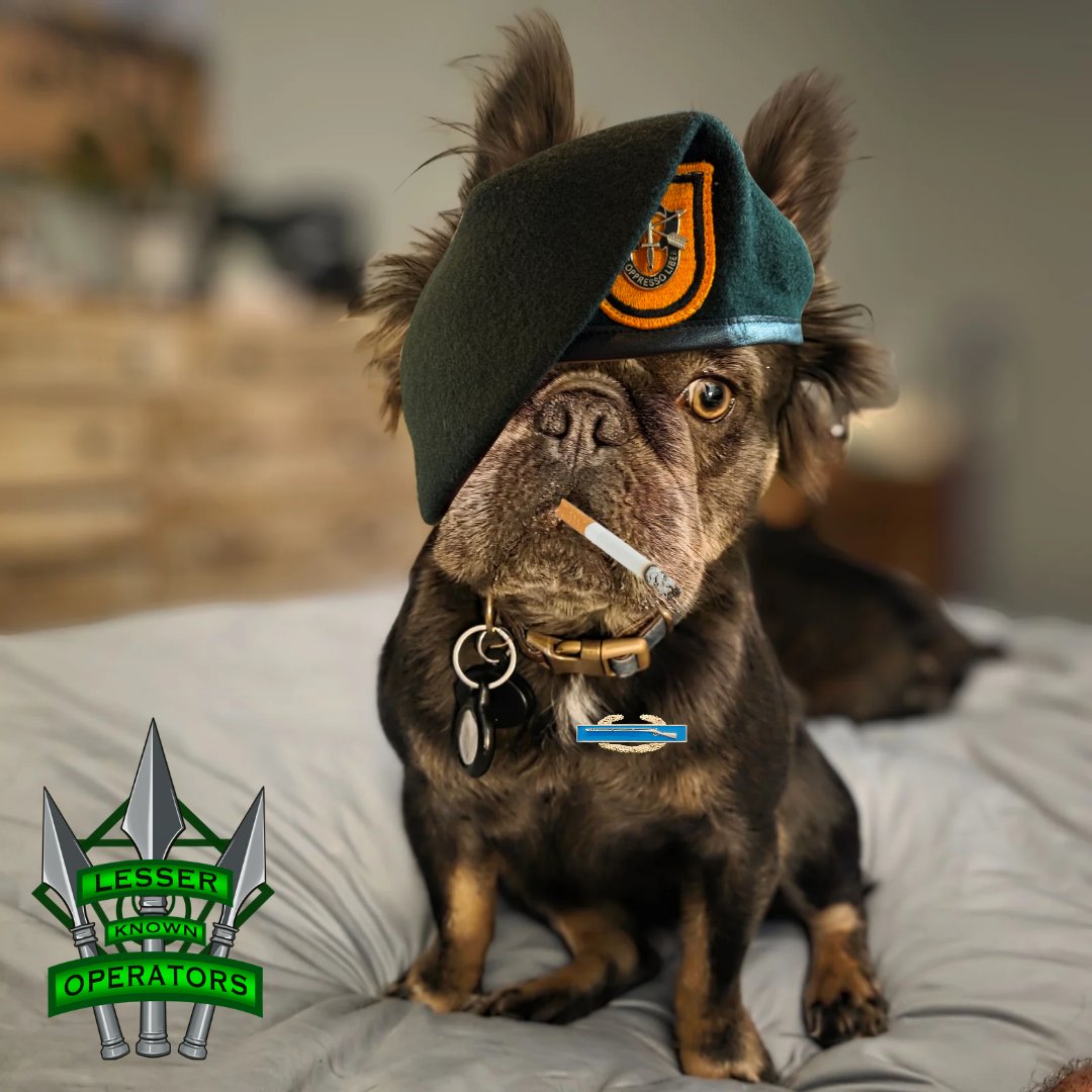 lesserknownoper's tweet photo. He's seen things. https://t.co/WqTN7af3XK