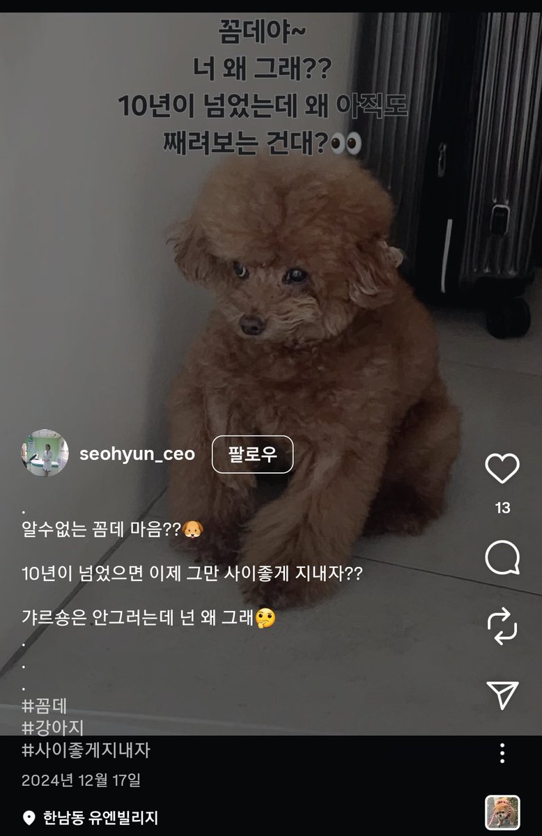 instiz's tweet photo. [정보/소식] 박나래 디패 주사이모 인스타에 올라온 꼼데 https://t.co/7R2seclJoi https://t.co/MABefQTI0K