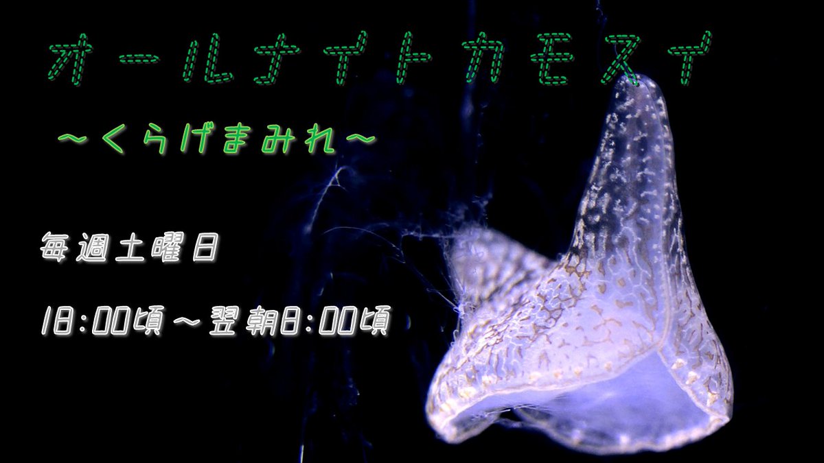 ゆら🤍💉 (@yura9rg) / Posts / X