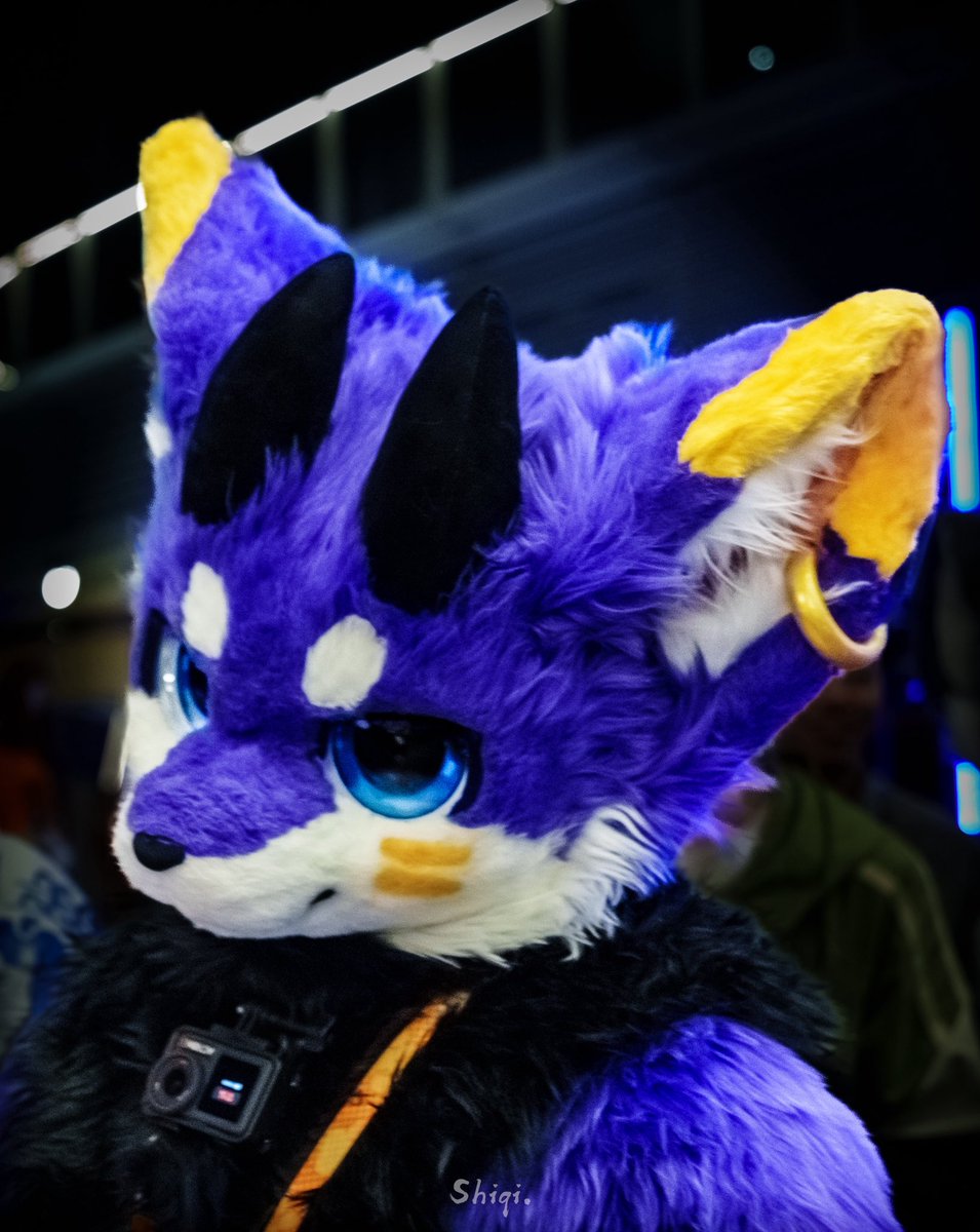 xixi_furry's tweet photo. 最近的一些新照片～

冬兽聚见～ https://t.co/tzTWQZqUFu