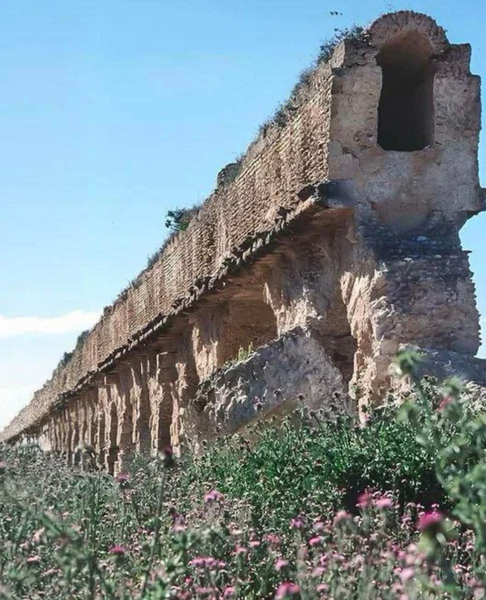 Archaeo - Histories tweet media