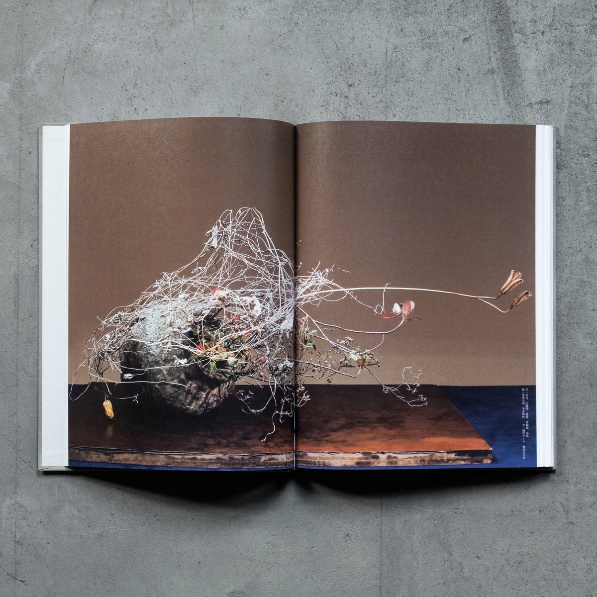 工芸青花｜sugano (@kogei_seika) / Posts / X