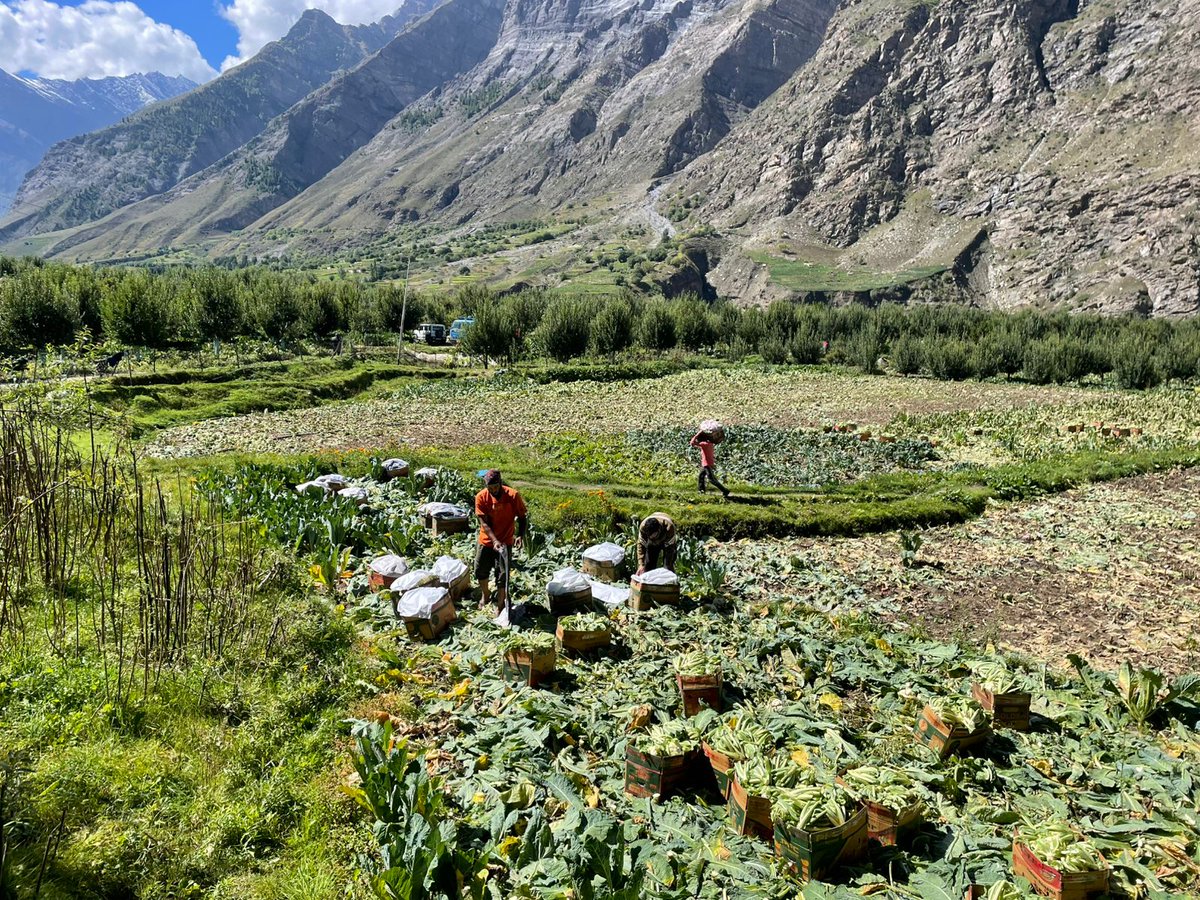 Good Food Movement tweet media