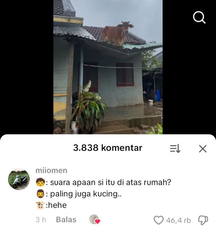 KucengTerbanggg's tweet photo. https://t.co/fo7TyqlycA