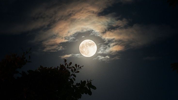 خلّ القمر بيننا رابط نظر ، انظر وأنا بنظر 
               واعتبرنا إلتقينا  🧡.