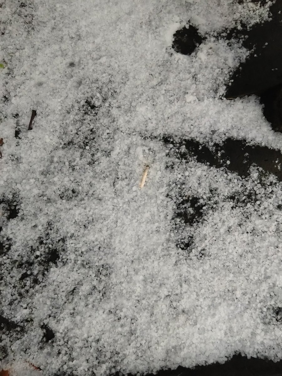 とある仮設住宅群には、今月の交流支援やイベントがほぼ入っていません（定期の体操のみ）
寒さもあり、狭い仮設住宅に引きこもりになり易い時期なので、特に高齢者を心配する声が自治会の方からありました