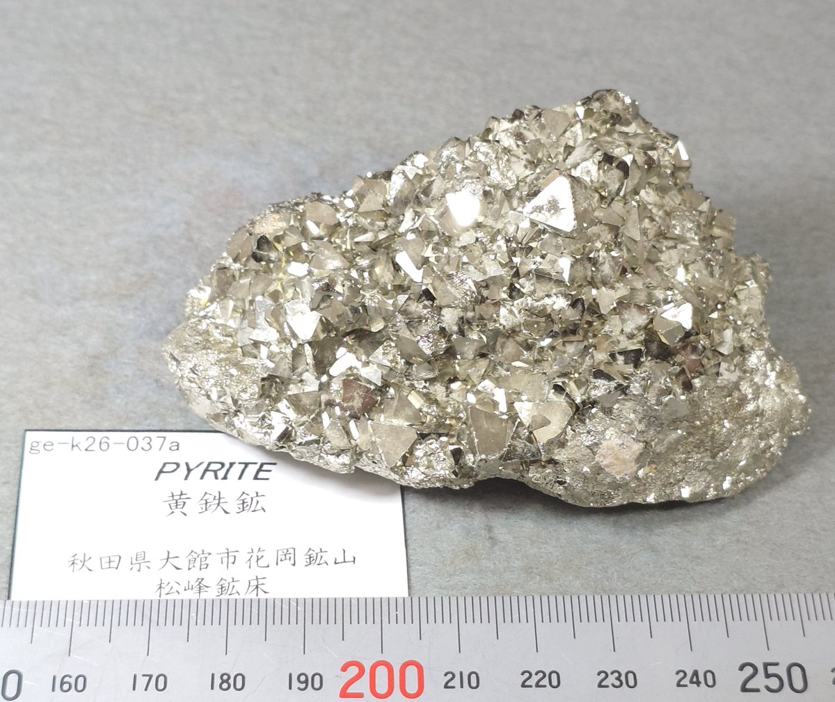 第34回東京ﾐﾈﾗﾙｼｮｰ こんなの持って行くよ標本 黄鉄鉱 秋田県花岡鉱山