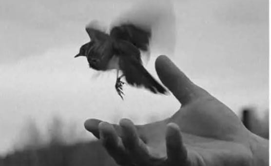 جب انسان بے بسی کی انتہا پر پہنچتا ہے تو اسے تبھی احساس ہوتا ہے کہ سب کچھ جانے دینے کا نام ہی زندگی ہے۔