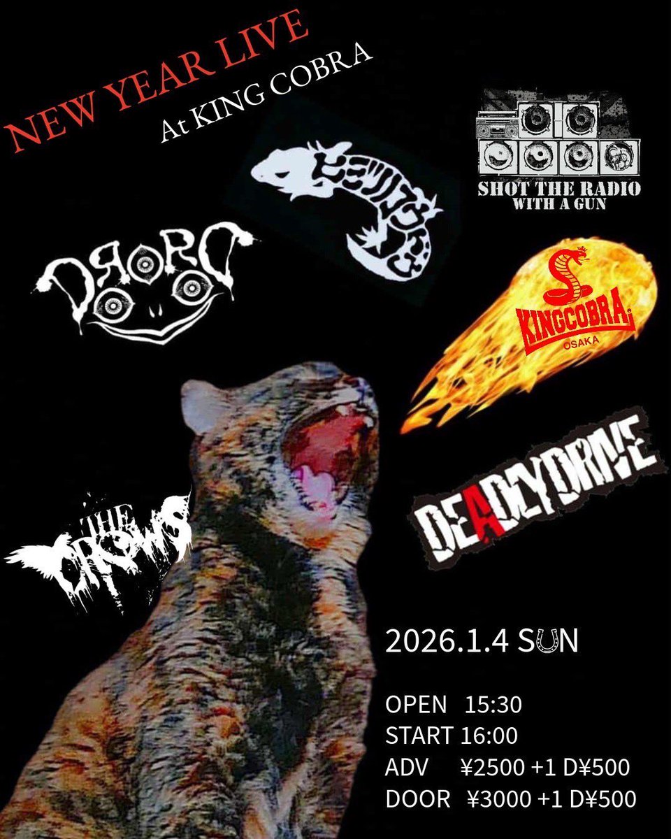 2026年1月4日 NEW YEAR LIVE at KING COBRA 来年1発目の Rebel Music