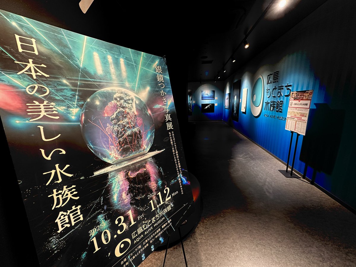 dolphinp32's tweet photo. 知り合いの水族館写真家の写真展に来ました。 https://t.co/WNKu2gRK7G