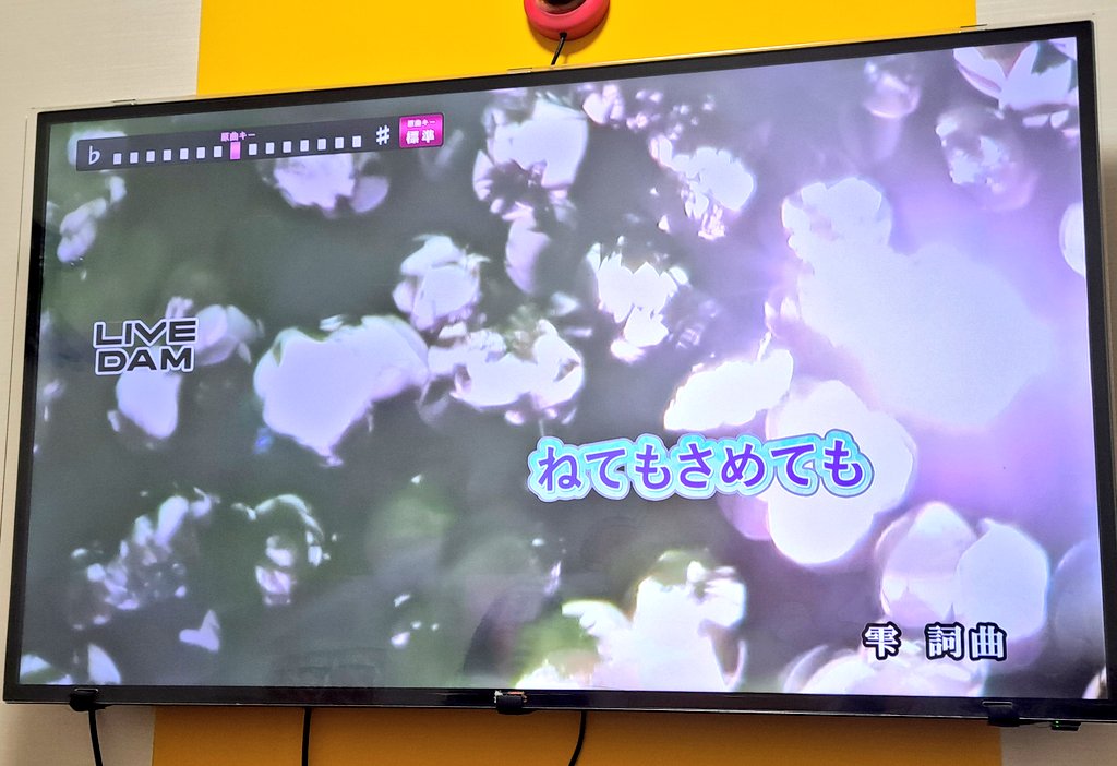 たらった🎶
#ねてもさめても #逆鱗  #ポルカドットスティングレイ