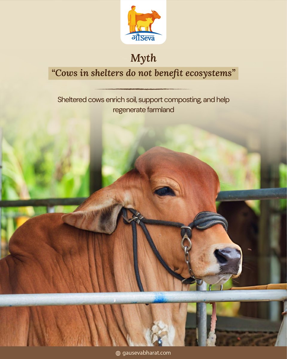 Even in Gaushalas, cows heal nature. 

Follow Gauseva_vlee to know a lot more.