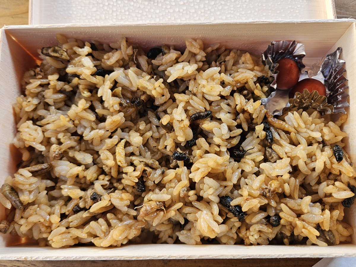 どんぐりの里いなぶへ へぼ飯？黒スズメバチ入り？ 食す以外の選択肢が