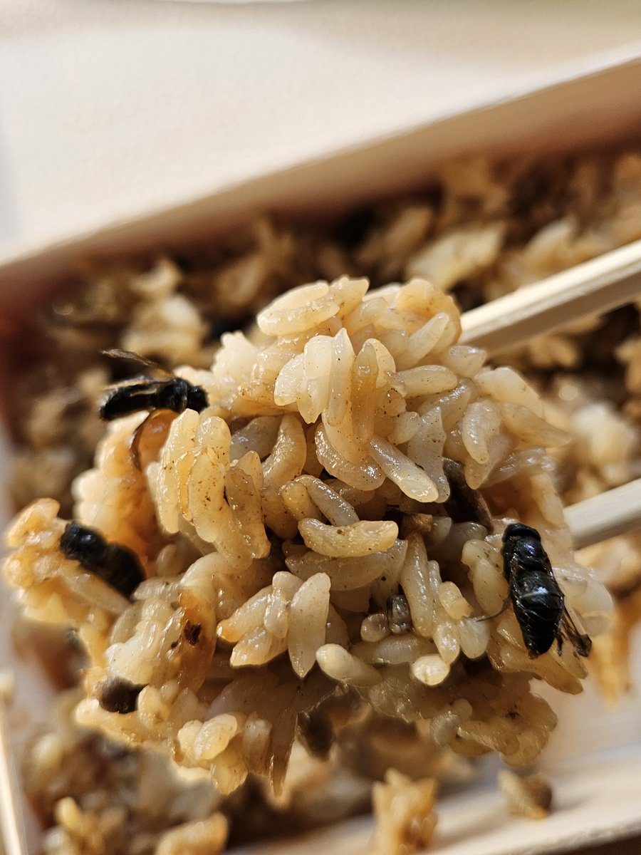 どんぐりの里いなぶへ へぼ飯？黒スズメバチ入り？ 食す以外の選択肢が