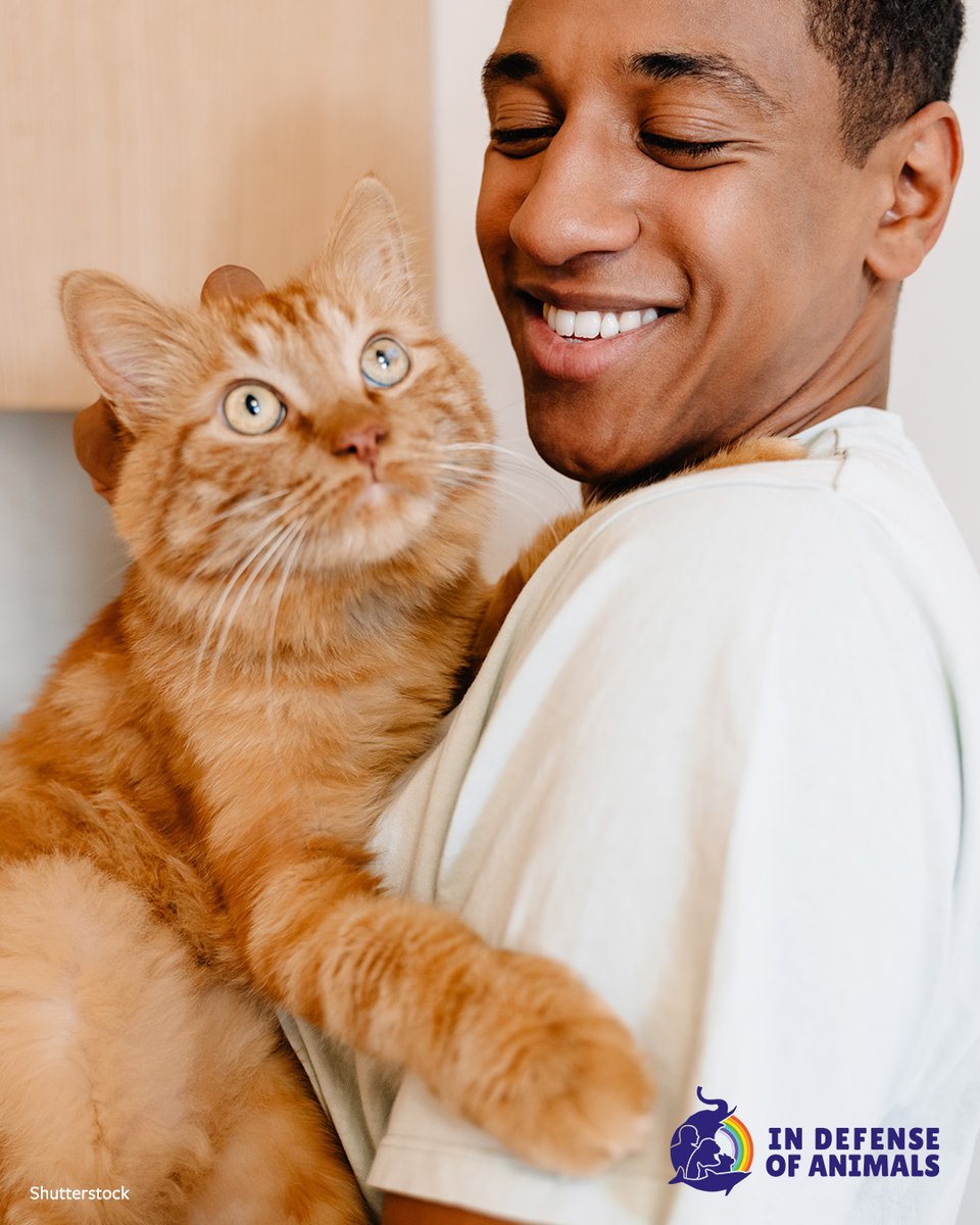 IDAUSA's tweet photo. Tax smart planning this year can create real impact for animals and the people who care about them.
Learn more: https://t.co/ijbL2lGJzr
Pls RT and support our work for animals https://t.co/jB1yodROKH
#TaxSmartGiving #Make2025Count #SupportAnimals https://t.co/chSesmw6tO