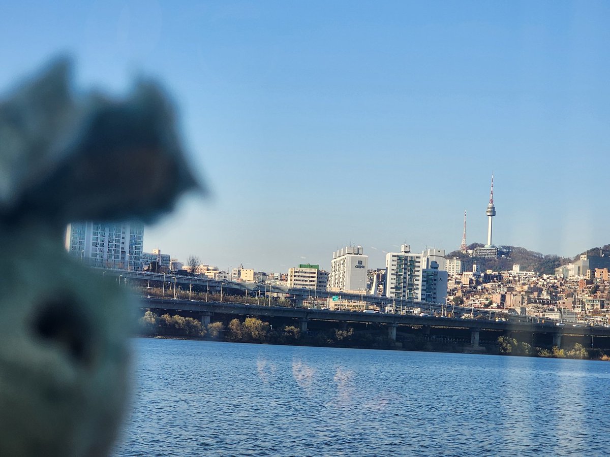 #한_달_밖에_남지_않은_2025년_저는_당신에게_어떤_사람_이었나요
뽈뽀뽈볼뾸!!!