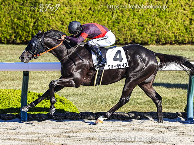 keibabookshop's tweet image. ㊗おめでとうございます📷写真をどうぞ
#ヴォーカライズ の2歳未勝利 2025年12月6日阪神2R
騎手： #西村淳也 生産者： #白老ファーム（白老）
#POG #競馬 #keiba