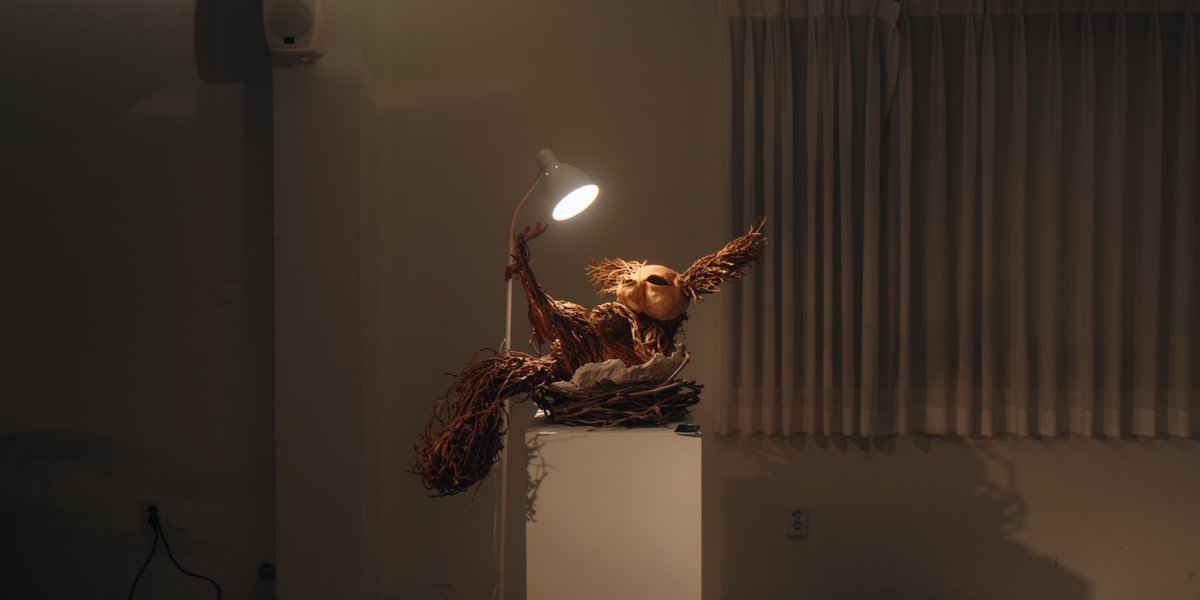 Finest Python tweet media