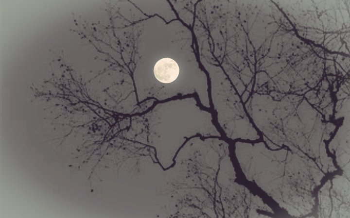 “For I don't know how to be silent when my heart is talking."
    — Fyodor Dostoyevsky, White Nights