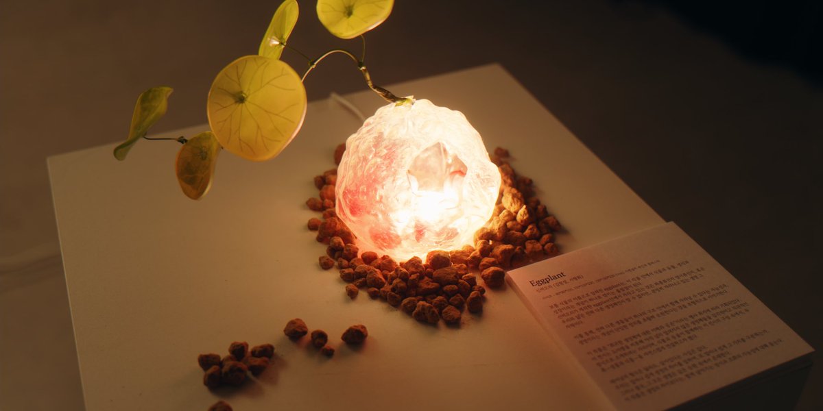 Finest Python tweet media