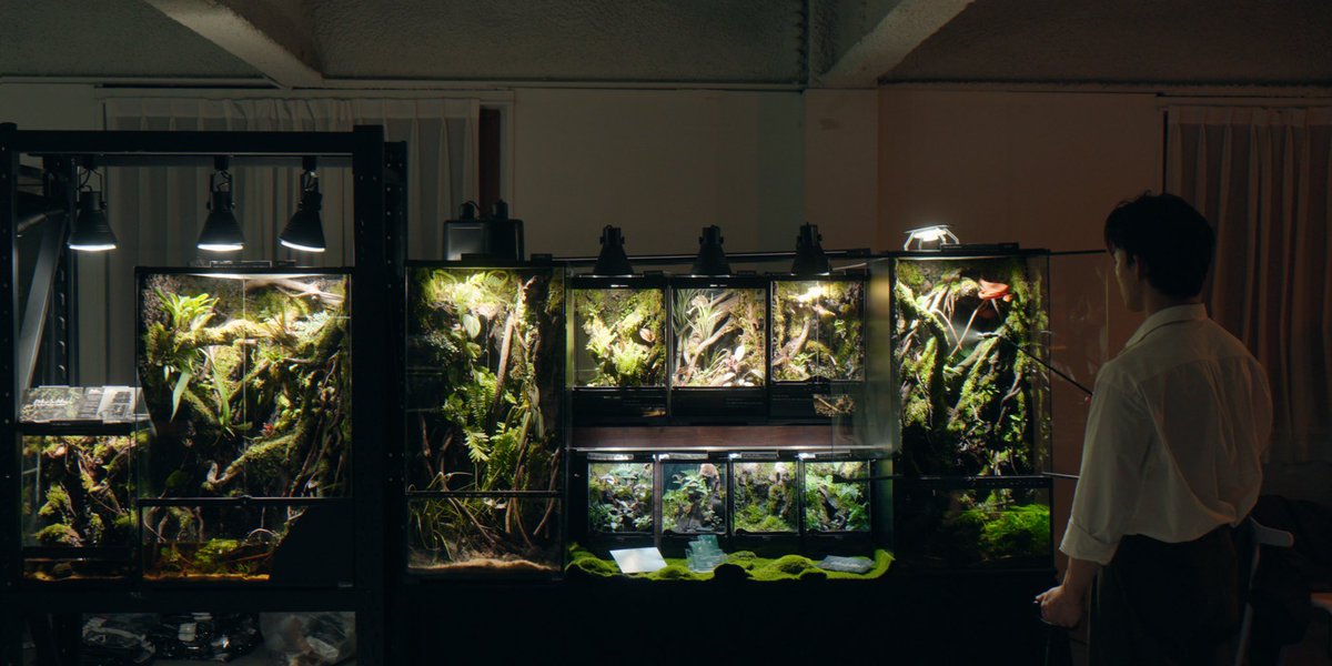 Finest Python tweet media