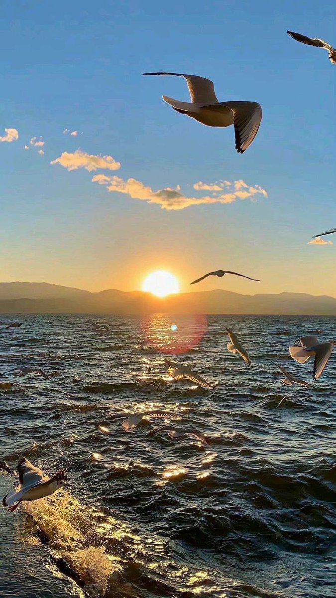 Good morning: a silent yet mighty greeting that calls all possibilities hiding behind the darkness into the light.
⛅️ 🪿