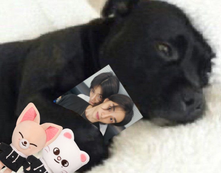 ishyuniin's tweet photo. LOS DOS SE BUSCARON PARA VER LA PRIMER NEVADA JUNTOS SE AMAN TANTO HOY MÁS HYUNINA QUE NUNCA https://t.co/PCSWSTkyjI